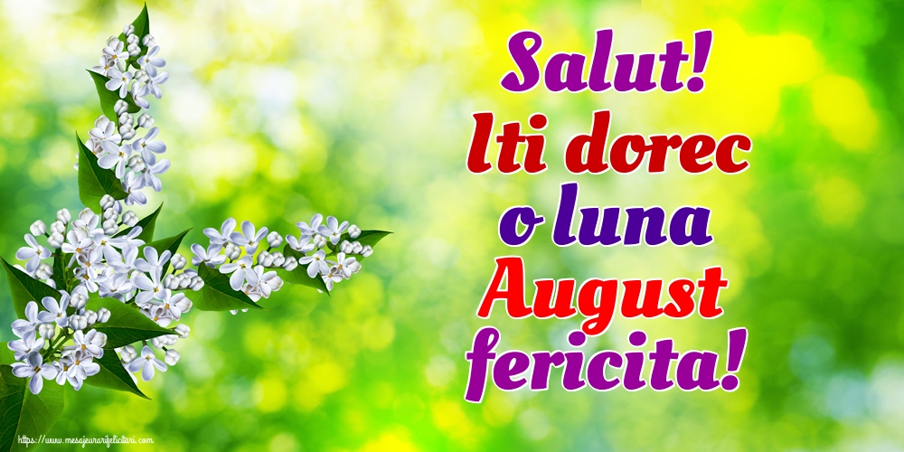 Felicitari de 1 August - Salut! Iti dorec o luna August fericita!