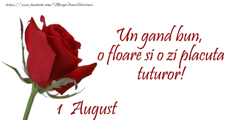 Felicitari de 1 August - Un gand bun, o floare si o zi placuta tuturor!