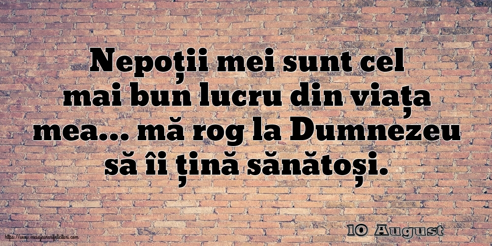 Felicitari de 10 August - 10 August - Nepoții mei sunt cel mai bun lucru din viața mea…