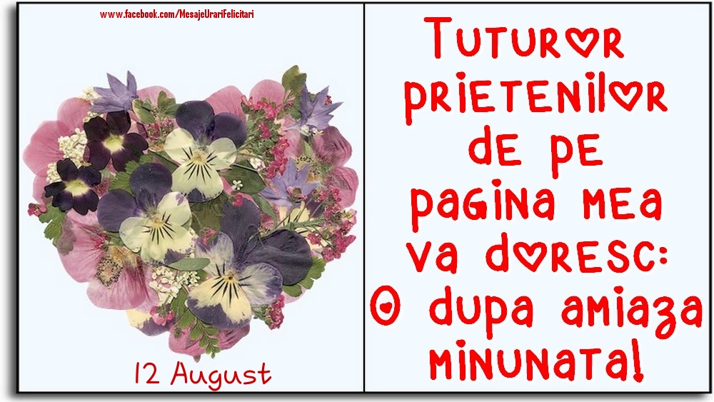 Felicitari de 12 August - 12 August -Tuturor prietenilor de pe pagina mea va doresc: O dupa amiaza minunata!