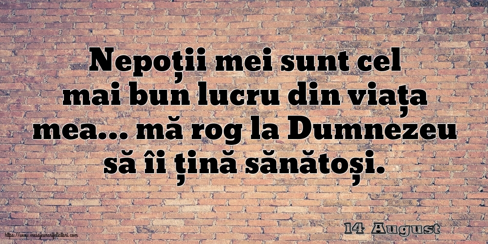 Felicitari de 14 August - 14 August - Nepoții mei sunt cel mai bun lucru din viața mea…