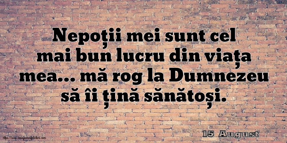 Felicitari de 15 August - 15 August - Nepoții mei sunt cel mai bun lucru din viața mea…