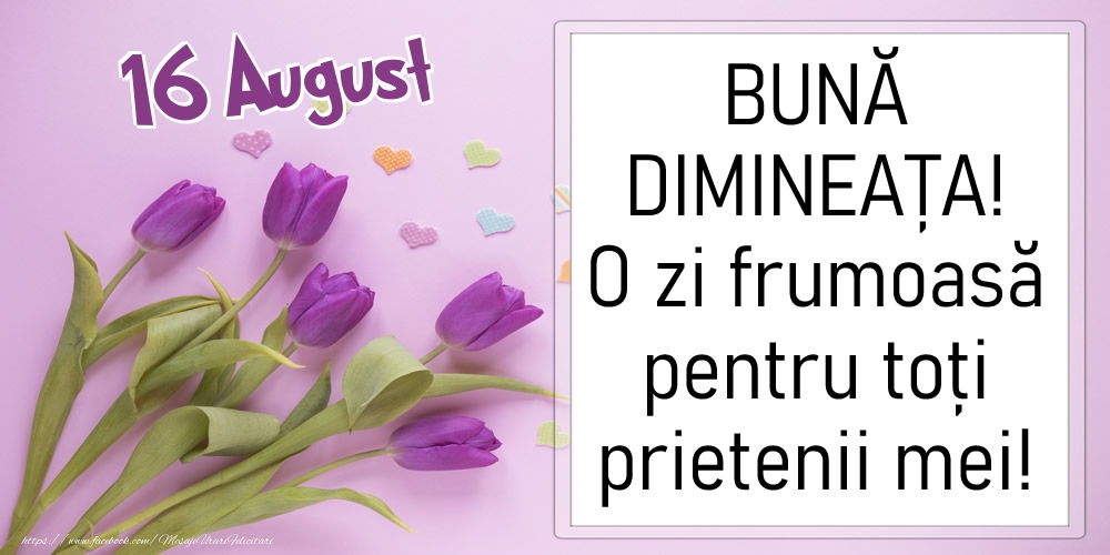 Felicitari de 16 August - 16 August - BUNĂ DIMINEAȚA! O zi frumoasă pentru toți prietenii mei!