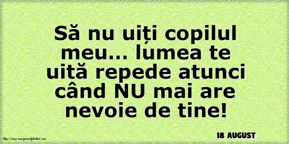 Felicitari de 18 August - 18 August - Să nu uiți copilul meu