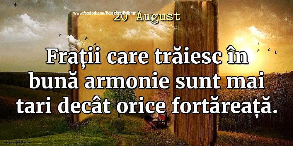 Felicitari de 20 August - 20 August - Frații care trăiesc în bună armonie sunt mai tari decât orice fortăreață.