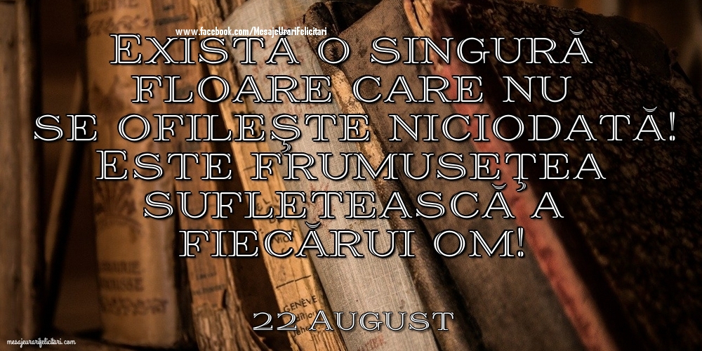 22 August - Există o singură floare care nu se ofileşte niciodată! Este frumuseţea sufletească a fiecărui om!