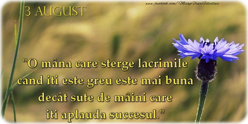 Felicitari de 3 August - O mână care şterge lacrimile cand iti este greu este mai bună decât sute de mâini care iti aplaudă succesul. 3August