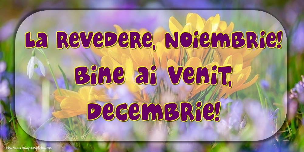 Felicitari de 1 Decembrie - La revedere, Noiembrie! Bine ai venit, Decembrie!