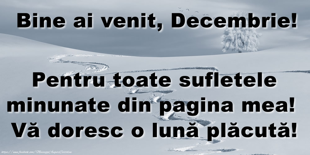 Felicitari de 1 Decembrie - Bine ai venit, Decembrie! Pentru toate sufletele minunate din pagina mea! Vă doresc o lună plăcută!