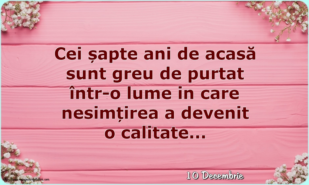 Felicitari de 10 Decembrie - 10 Decembrie - Cei șapte ani de acasă