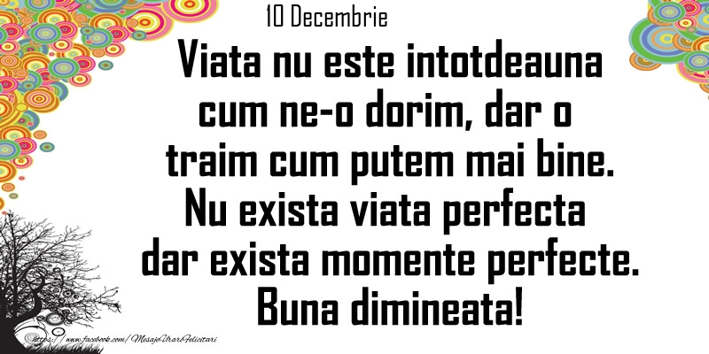 Felicitari de 10 Decembrie - 10 Decembrie - Viata nu este intotdeauna cum ne-o dorim, dar o  traim cum putem mai bine. Nu exista viata perfecta dar exista momente perfecte. Buna dimineata!