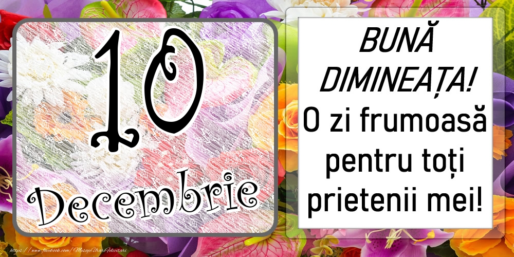 Felicitari de 10 Decembrie - 10 Decembrie - BUNĂ DIMINEAȚA! O zi frumoasă pentru toți prietenii mei!