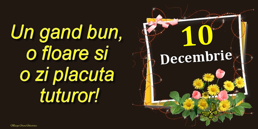 Felicitari de 10 Decembrie - Decembrie 10 Un gand bun, o floare si o zi placuta tuturor!