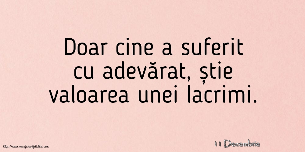 Felicitari de 11 Decembrie - 11 Decembrie - Doar cine a suferit cu adevărat