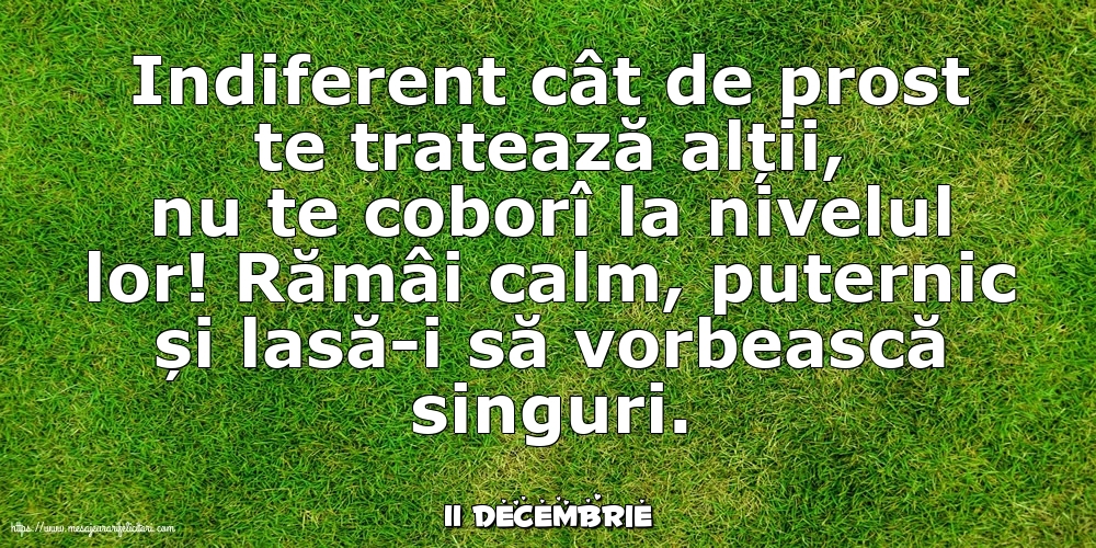 Felicitari de 11 Decembrie - 11 Decembrie - Indiferent cât de prost te tratează alții