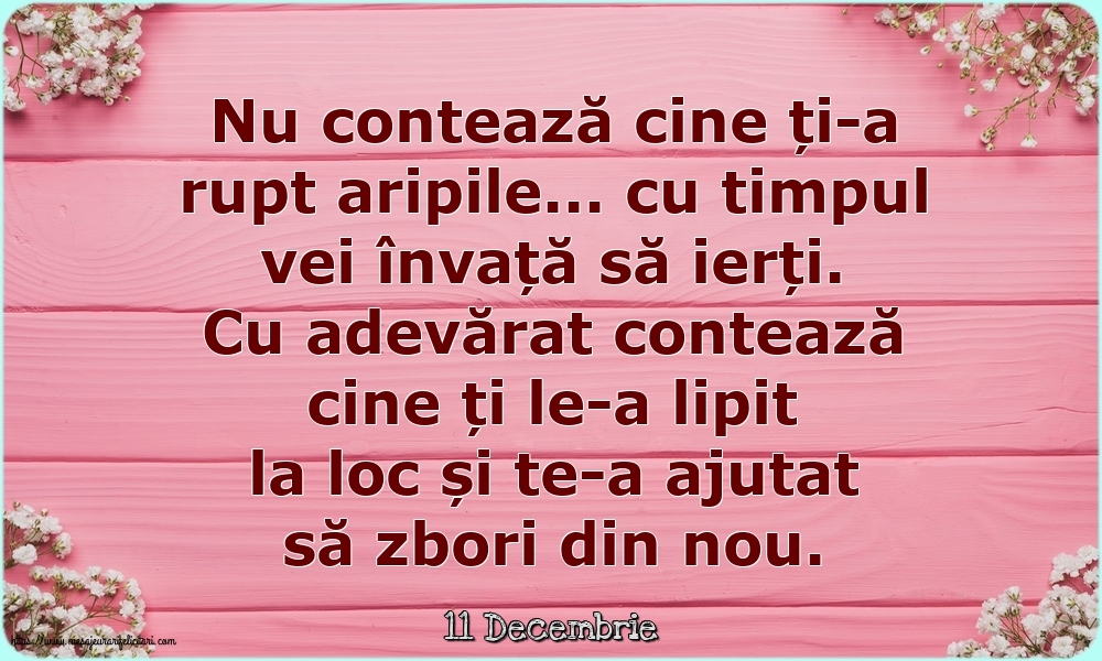 Felicitari de 11 Decembrie - 11 Decembrie - Nu contează cine ți-a rupt aripile...