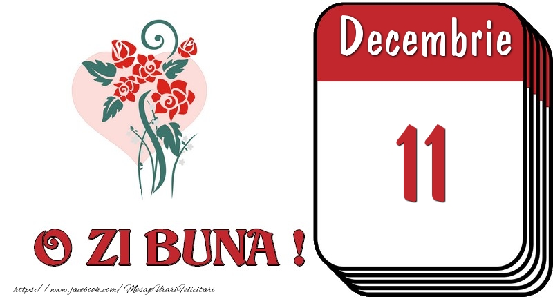 Decembrie 11 O zi buna