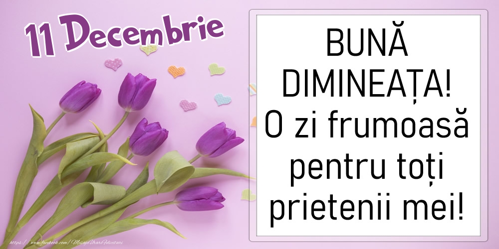 11 Decembrie - BUNĂ DIMINEAȚA! O zi frumoasă pentru toți prietenii mei!