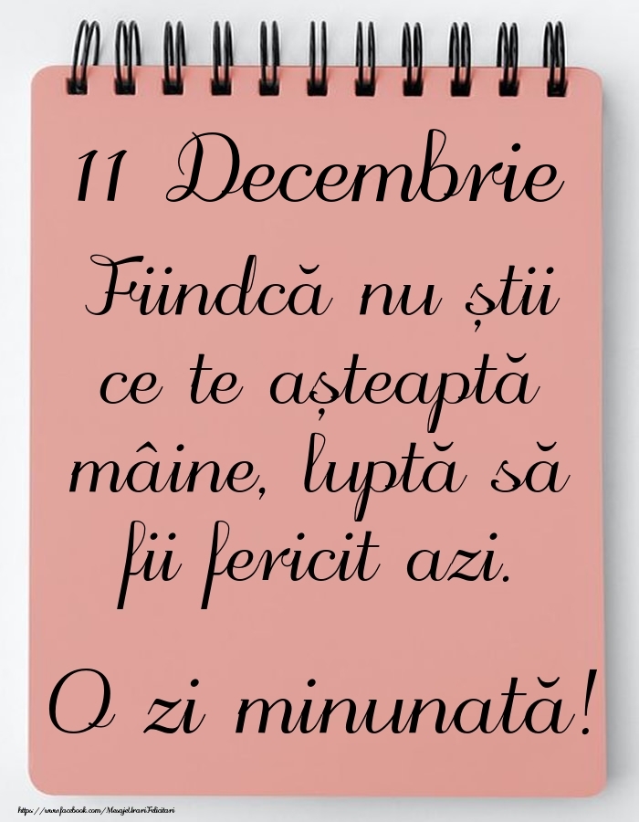 Mesajul zilei -  11 Decembrie - O zi minunată!