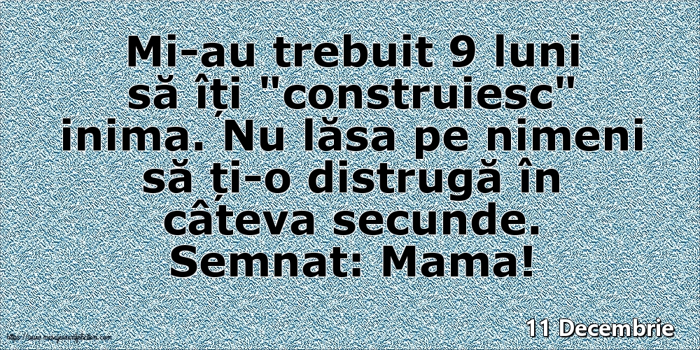 11 Decembrie - Semnat: Mama! Mi-au trebuit 9 luni