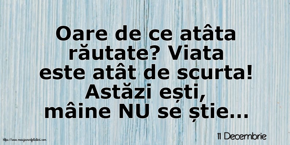 11 Decembrie - Oare de ce atâta răutate?