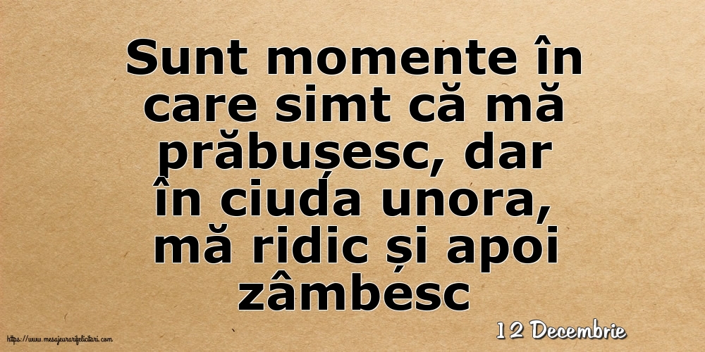 Felicitari de 12 Decembrie - 12 Decembrie - Sunt momente în care simt că mă prăbușesc