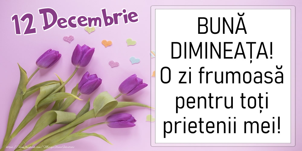 Felicitari de 12 Decembrie - 12 Decembrie - BUNĂ DIMINEAȚA! O zi frumoasă pentru toți prietenii mei!