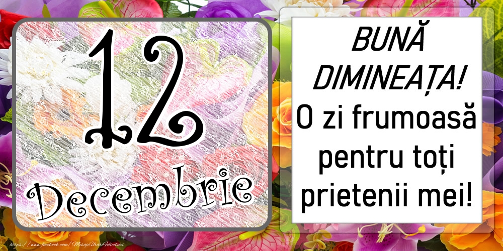 12 Decembrie - BUNĂ DIMINEAȚA! O zi frumoasă pentru toți prietenii mei!