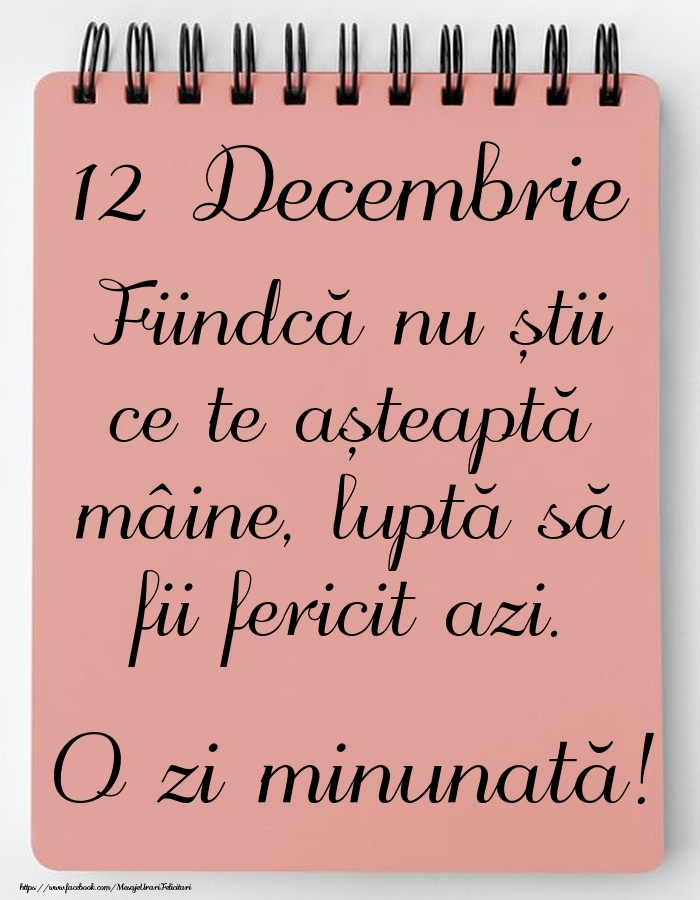 Felicitari de 12 Decembrie - Mesajul zilei -  12 Decembrie - O zi minunată!