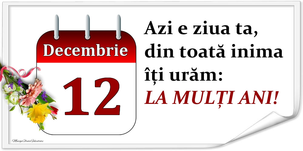 Decembrie 12 Azi e ziua ta, din toată inima îți urăm: LA MULȚI ANI!