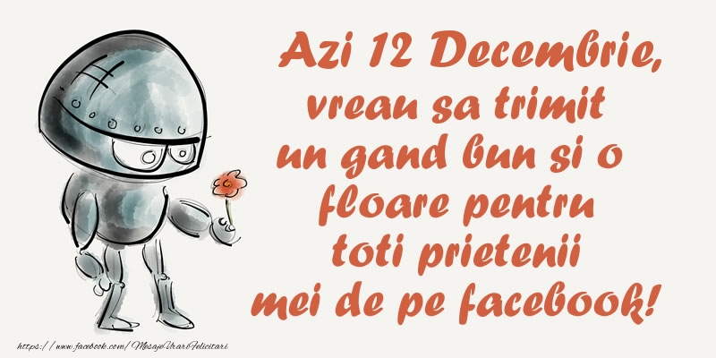 Azi 12 Decembrie, vreau sa trimit un gand bun si o floare pentru toti prietenii mei de pe facebook!