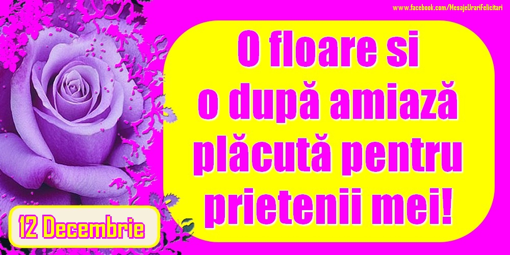 12.Decembrie - O floare și o după amiază plăcută pentru prietenii mei!