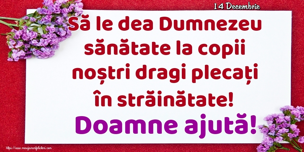 Felicitari de 14 Decembrie - 14 Decembrie - Să le dea Dumnezeu sănătate la copii noștri dragi plecați în străinătate! Doamne ajută!