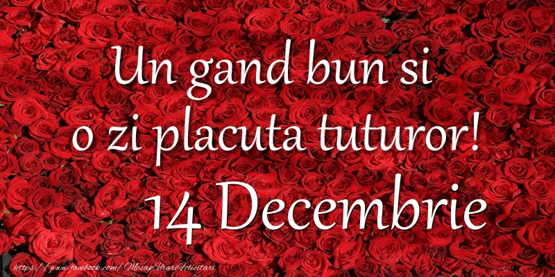 Felicitari de 14 Decembrie - Un gand bun si  o zi placuta tuturor! Decembrie 14