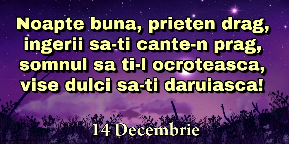 14 Decembrie - Noapte buna, prieten drag, ingerii sa-ti cante-n prag, somnul sa ti-l ocroteasca, vise dulci sa-ti daruiasca!