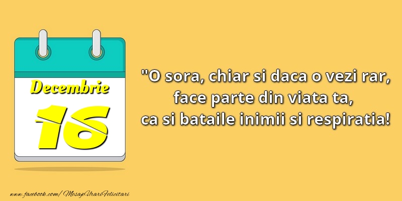 O soră, chiar şi dacă o vezi rar, face parte din viata ta, ca şi bătăile inimii şi respiraţia! 16Decembrie