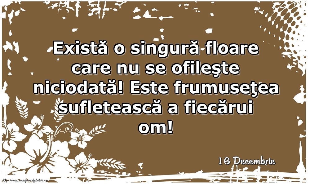 Felicitari de 16 Decembrie - 16 Decembrie - Există o singură floare care nu se ofileşte niciodată