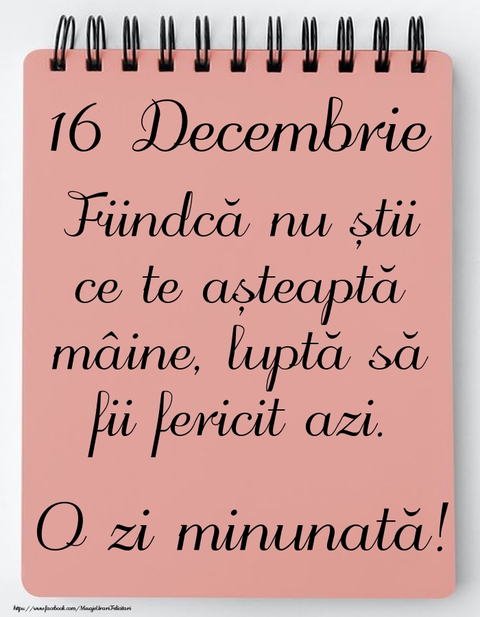 Felicitari de 16 Decembrie - Mesajul zilei -  16 Decembrie - O zi minunată!