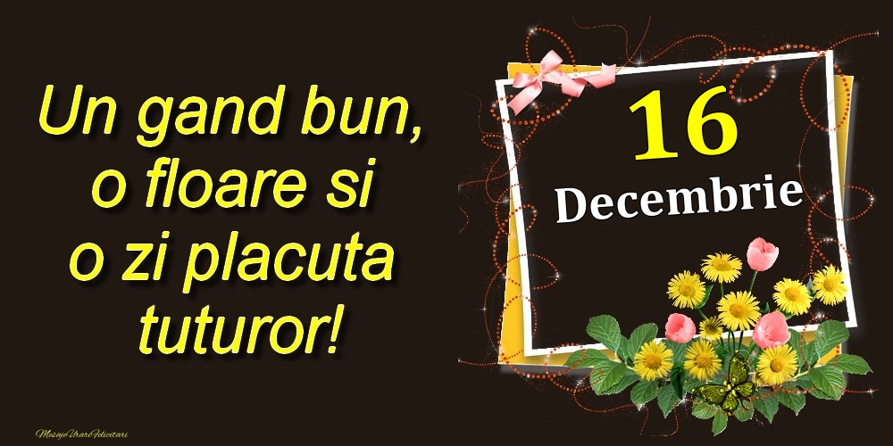 Felicitari de 16 Decembrie - Decembrie 16 Un gand bun, o floare si o zi placuta tuturor!