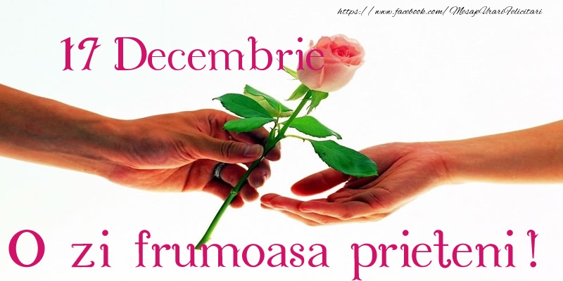 17 Decembrie O zi frumoasa prieteni!