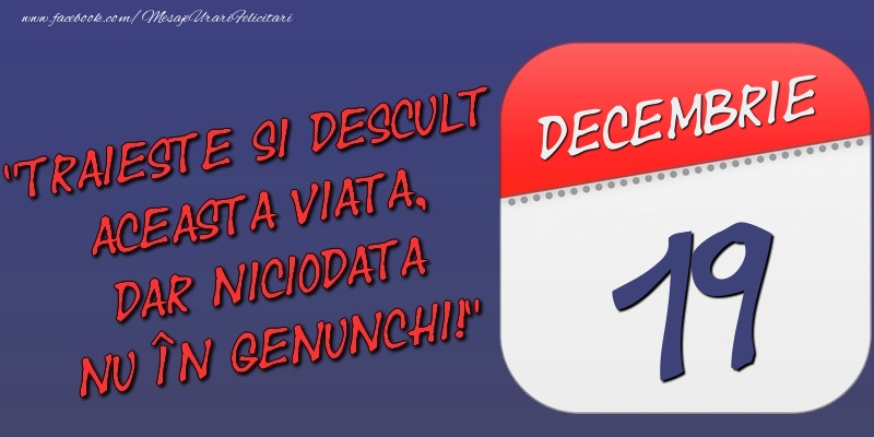 Felicitari de 19 Decembrie - Trăieşte şi desculţ această viaţă, dar niciodată nu în genunchi! 19 Decembrie