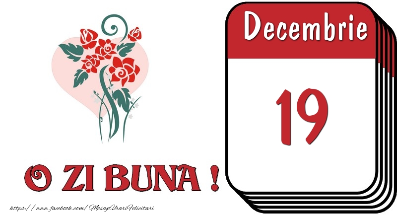 Decembrie 19 O zi buna