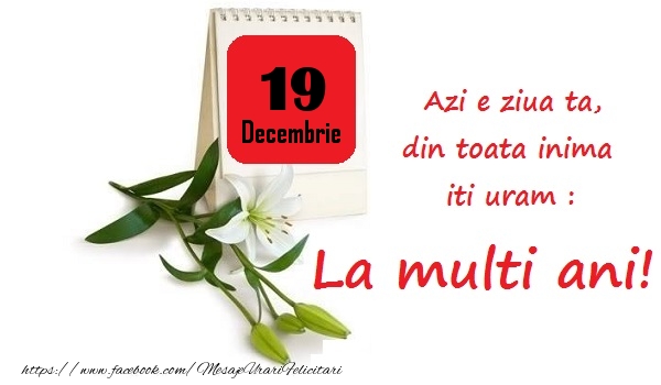 Decembrie 19