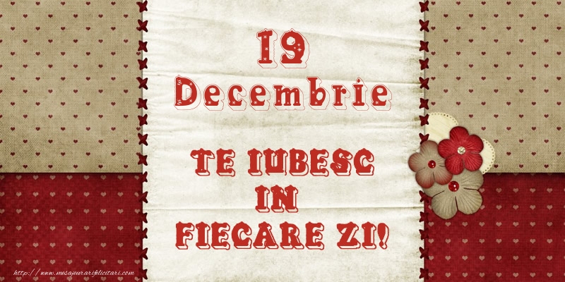 Astazi este 19 Decembrie si vreau sa-ti amintesc ca te iubesc!