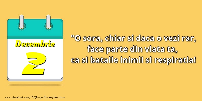 O soră, chiar şi dacă o vezi rar, face parte din viata ta, ca şi bătăile inimii şi respiraţia! 2Decembrie