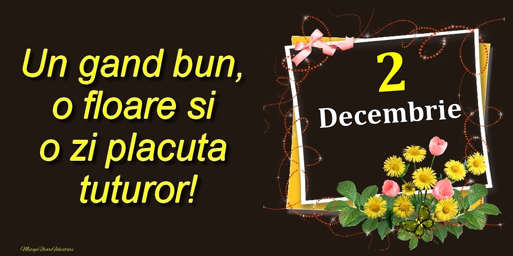 Felicitari de 2 Decembrie - Decembrie 2 Un gand bun, o floare si o zi placuta tuturor!