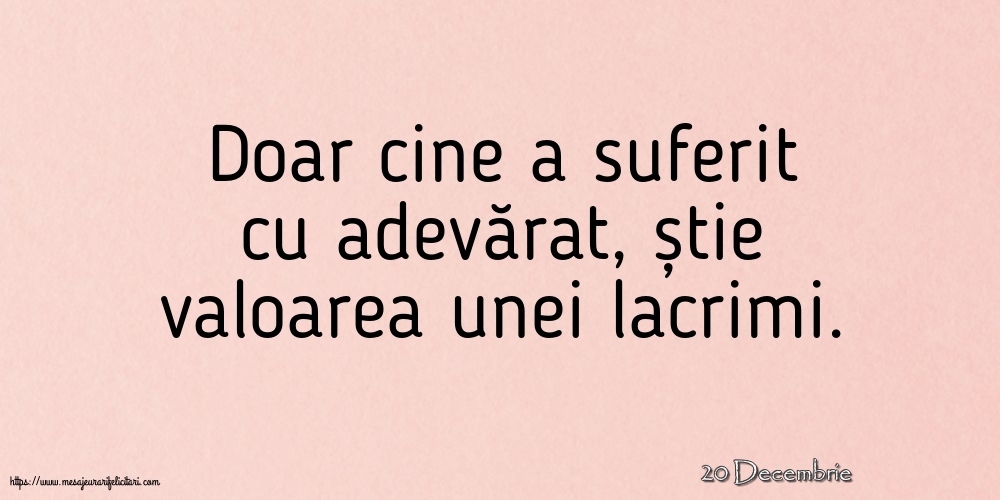 Felicitari de 20 Decembrie - 20 Decembrie - Doar cine a suferit cu adevărat