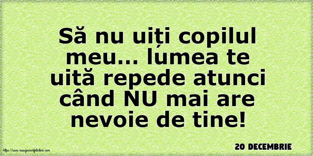 Felicitari de 20 Decembrie - 20 Decembrie - Să nu uiți copilul meu