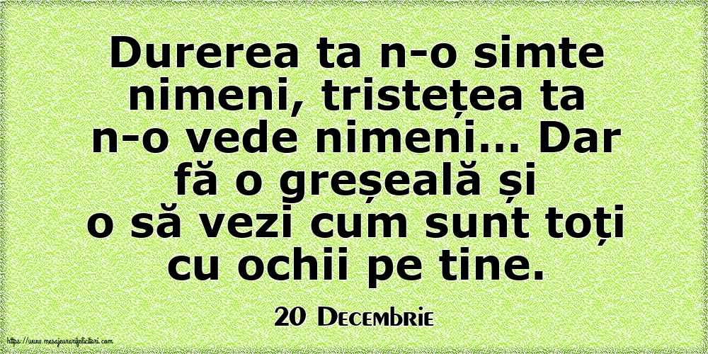 Felicitari de 20 Decembrie - 20 Decembrie - Durerea ta n-o simte nimeni, tristețea ta n-o vede nimeni…