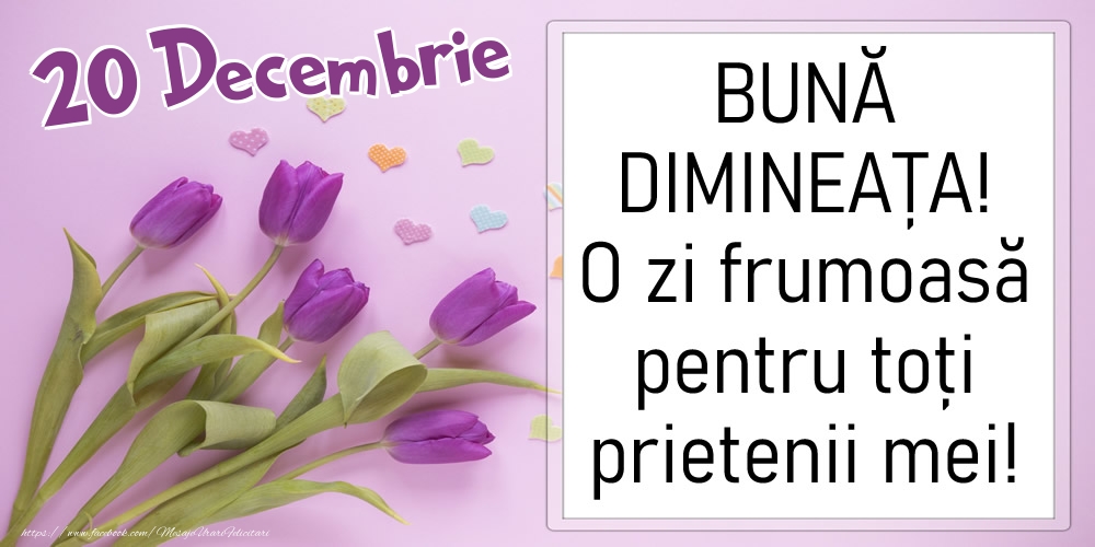 20 Decembrie - BUNĂ DIMINEAȚA! O zi frumoasă pentru toți prietenii mei!